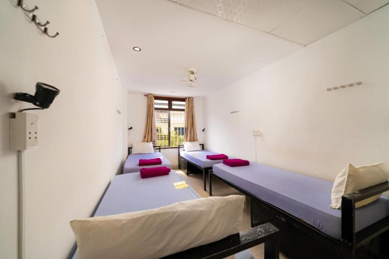 Tribee Kinh Hostel & Bar Хойан Экстерьер фото